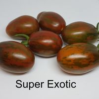 Super Exotic